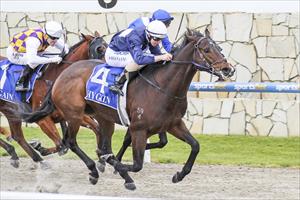 No sweat for odds on Eira